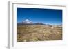 Llamas Graze Below the Sajama Volcano in Sajama National Park-Alex Saberi-Framed Photographic Print