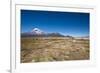 Llamas Graze Below the Sajama Volcano in Sajama National Park-Alex Saberi-Framed Photographic Print