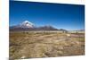 Llamas Graze Below the Sajama Volcano in Sajama National Park-Alex Saberi-Mounted Photographic Print