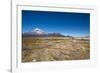 Llamas Graze Below the Sajama Volcano in Sajama National Park-Alex Saberi-Framed Photographic Print