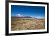 Llamas Graze Below the Sajama Volcano in Sajama National Park-Alex Saberi-Framed Photographic Print