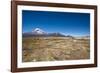 Llamas Graze Below the Sajama Volcano in Sajama National Park-Alex Saberi-Framed Photographic Print