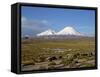 Llamas Grazing before Volcanoes Parinacota and Pomerape, Lauca National Park, Chile, South America-Mcleod Rob-Framed Stretched Canvas