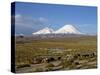 Llamas Grazing before Volcanoes Parinacota and Pomerape, Lauca National Park, Chile, South America-Mcleod Rob-Stretched Canvas