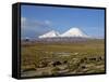 Llamas Grazing before Volcanoes Parinacota and Pomerape, Lauca National Park, Chile, South America-Mcleod Rob-Framed Stretched Canvas