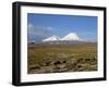 Llamas Grazing before Volcanoes Parinacota and Pomerape, Lauca National Park, Chile, South America-Mcleod Rob-Framed Photographic Print