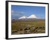 Llamas Grazing before Volcanoes Parinacota and Pomerape, Lauca National Park, Chile, South America-Mcleod Rob-Framed Photographic Print