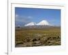 Llamas Grazing before Volcanoes Parinacota and Pomerape, Lauca National Park, Chile, South America-Mcleod Rob-Framed Photographic Print