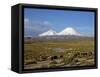 Llamas Grazing before Volcanoes Parinacota and Pomerape, Lauca National Park, Chile, South America-Mcleod Rob-Framed Stretched Canvas