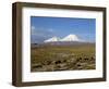 Llamas Grazing before Volcanoes Parinacota and Pomerape, Lauca National Park, Chile, South America-Mcleod Rob-Framed Photographic Print