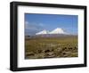 Llamas Grazing before Volcanoes Parinacota and Pomerape, Lauca National Park, Chile, South America-Mcleod Rob-Framed Photographic Print