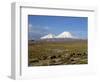 Llamas Grazing before Volcanoes Parinacota and Pomerape, Lauca National Park, Chile, South America-Mcleod Rob-Framed Photographic Print