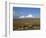 Llamas Grazing before Volcanoes Parinacota and Pomerape, Lauca National Park, Chile, South America-Mcleod Rob-Framed Photographic Print