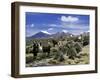 Llamas Grazing in Sajama National Park with the Twins, the Volcanoes of Parinacota and Pomerata in-Mark Chivers-Framed Premium Photographic Print