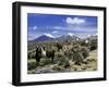 Llamas Grazing in Sajama National Park with the Twins, the Volcanoes of Parinacota and Pomerata in-Mark Chivers-Framed Premium Photographic Print