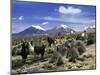 Llamas Grazing in Sajama National Park with the Twins, the Volcanoes of Parinacota and Pomerata in-Mark Chivers-Mounted Premium Photographic Print