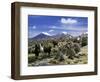 Llamas Grazing in Sajama National Park with the Twins, the Volcanoes of Parinacota and Pomerata in-Mark Chivers-Framed Photographic Print