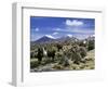 Llamas Grazing in Sajama National Park with the Twins, the Volcanoes of Parinacota and Pomerata in-Mark Chivers-Framed Photographic Print