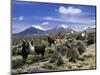 Llamas Grazing in Sajama National Park with the Twins, the Volcanoes of Parinacota and Pomerata in-Mark Chivers-Mounted Photographic Print