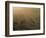 Llamas, Lauca National Park, Atacama, Chile, South America-Rob Mcleod-Framed Photographic Print