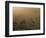 Llamas, Lauca National Park, Atacama, Chile, South America-Rob Mcleod-Framed Photographic Print