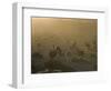 Llamas, Lauca National Park, Atacama, Chile, South America-Rob Mcleod-Framed Photographic Print