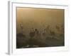 Llamas, Lauca National Park, Atacama, Chile, South America-Rob Mcleod-Framed Photographic Print