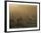 Llamas, Lauca National Park, Atacama, Chile, South America-Rob Mcleod-Framed Photographic Print