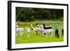 Llamas on Farm in Norway - Animal Nature Background-Nik_Sorokin-Framed Photographic Print