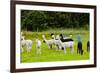 Llamas on Farm in Norway-Nik_Sorokin-Framed Photographic Print