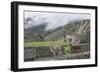 Llamas roaming in the Inca ruins of Machu Picchu, UNESCO World Heritage Site, Peru, South America-Julio Etchart-Framed Photographic Print