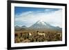 Llamas with snowcapped volcano Sajama, Sajama National Park, Bolivia-Anthony Asael-Framed Photographic Print