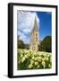 Llandaff Cathedral, Llandaff, Cardiff, Wales, United Kingdom, Europe-Billy Stock-Framed Photographic Print