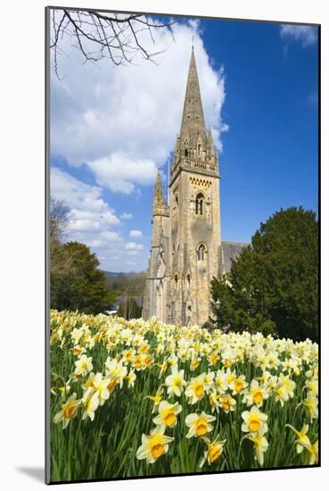 Llandaff Cathedral, Llandaff, Cardiff, Wales, United Kingdom, Europe-Billy Stock-Mounted Photographic Print