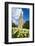 Llandaff Cathedral, Llandaff, Cardiff, Wales, United Kingdom, Europe-Billy Stock-Framed Photographic Print