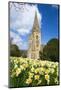 Llandaff Cathedral, Llandaff, Cardiff, Wales, United Kingdom, Europe-Billy Stock-Mounted Photographic Print