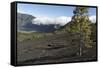 Llano Del Jable, La Palma, Canary Islands, Spain, 2009-Peter Thompson-Framed Stretched Canvas