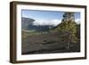 Llano Del Jable, La Palma, Canary Islands, Spain, 2009-Peter Thompson-Framed Photographic Print