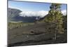 Llano Del Jable, La Palma, Canary Islands, Spain, 2009-Peter Thompson-Mounted Photographic Print