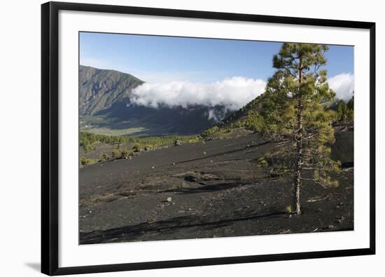 Llano Del Jable, La Palma, Canary Islands, Spain, 2009-Peter Thompson-Framed Photographic Print