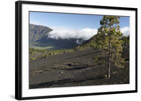 Llano Del Jable, La Palma, Canary Islands, Spain, 2009-Peter Thompson-Framed Photographic Print