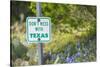 Llano, Texas, USA. Don't Mess With Texas sign in the hill country.-Emily Wilson-Stretched Canvas