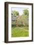 Llano, Texas, USA. Two rut road through bluebonnets in the Texas Hill Country.-Emily Wilson-Framed Photographic Print