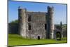 Llansteffan Castle, Carmarthenshire, Wales, United Kingdom, Europe-Billy Stock-Mounted Photographic Print