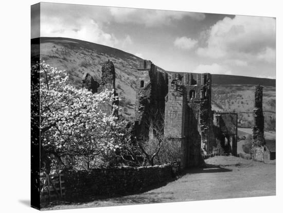 Llanthony Abbey-Fred Musto-Stretched Canvas