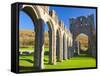 Llanthony Priory, Brecon Beacons, Wales, United Kingdom, Europe-Billy Stock-Framed Stretched Canvas