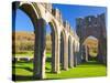 Llanthony Priory, Brecon Beacons, Wales, United Kingdom, Europe-Billy Stock-Stretched Canvas