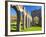 Llanthony Priory, Brecon Beacons, Wales, United Kingdom, Europe-Billy Stock-Framed Photographic Print
