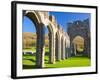 Llanthony Priory, Brecon Beacons, Wales, United Kingdom, Europe-Billy Stock-Framed Photographic Print