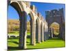 Llanthony Priory, Brecon Beacons, Wales, United Kingdom, Europe-Billy Stock-Mounted Photographic Print